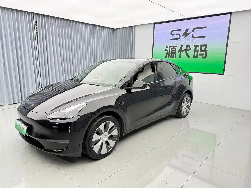 Tesla Model Y — фото 9