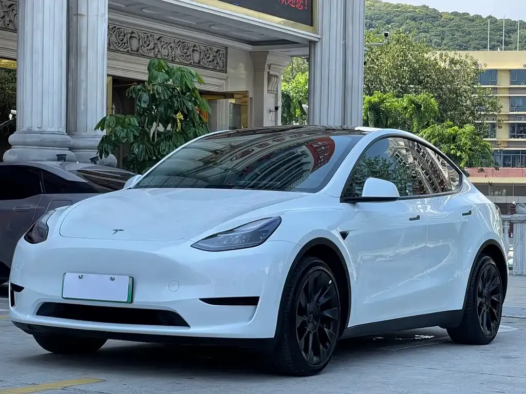 Tesla Model Y 2023 из CN, фото 1