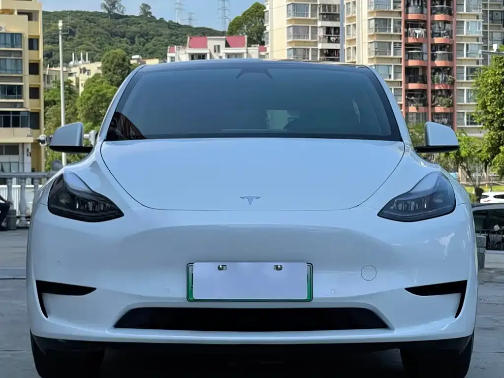 Tesla Model Y 2023 из CN, фото 9