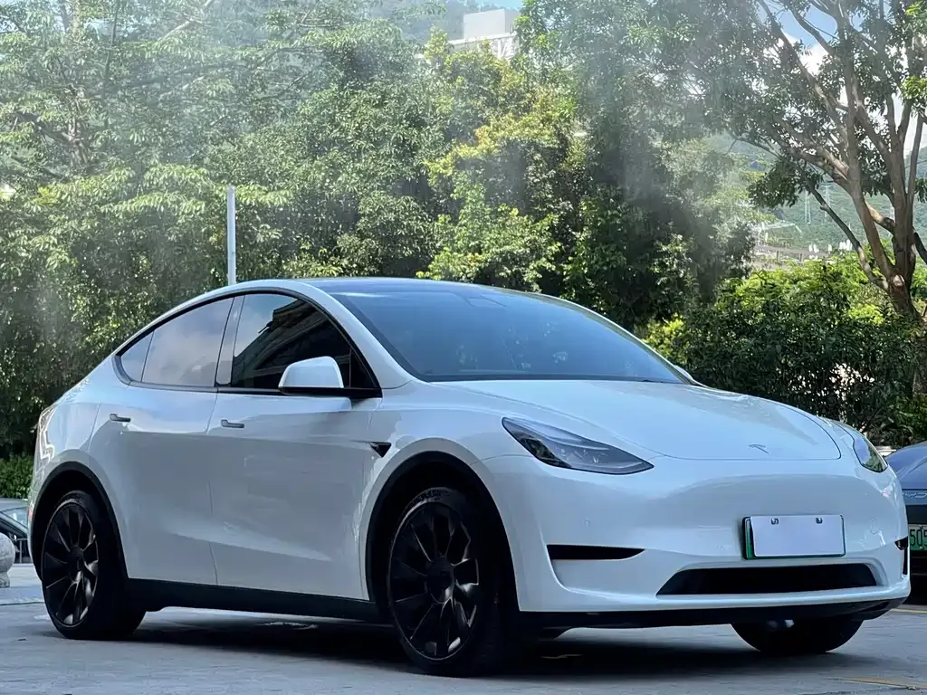 Tesla Model Y 2023 из CN, фото 7