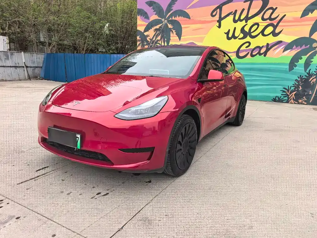 Tesla Model Y — фото 1