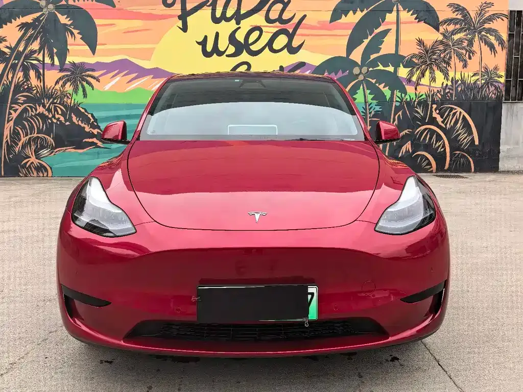 Tesla Model Y — фото 8