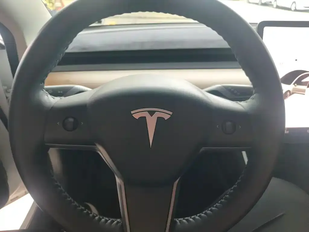 Tesla Model 3 — фото 2