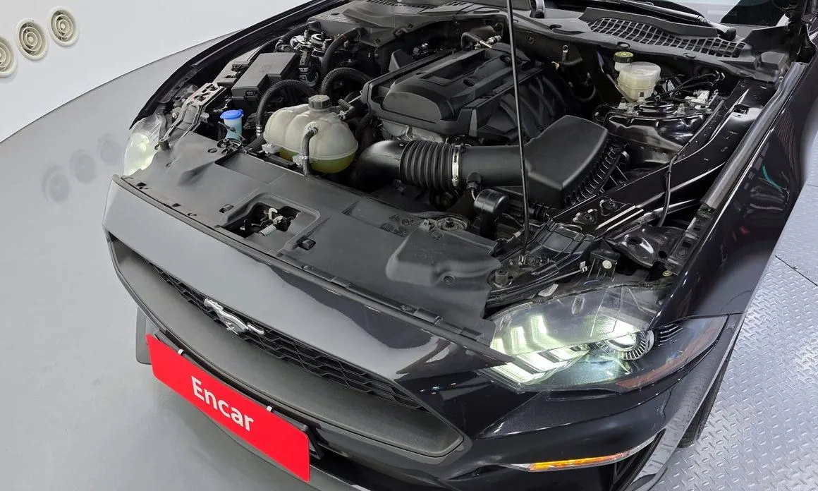 Ford Mustang 2023 из KR, фото 10