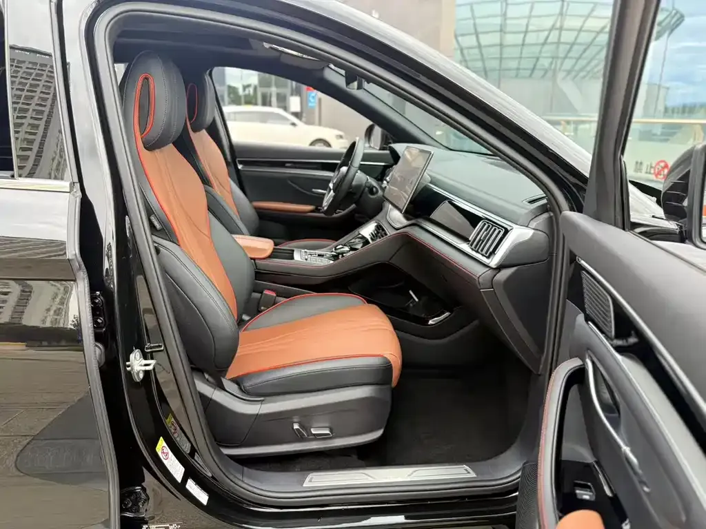 BYD PLUS New Energy — фото 4