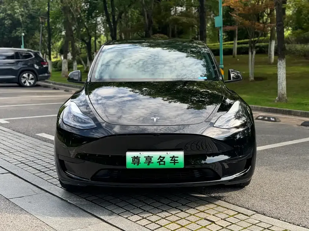 Tesla Model Y 2022 из CN, фото 2