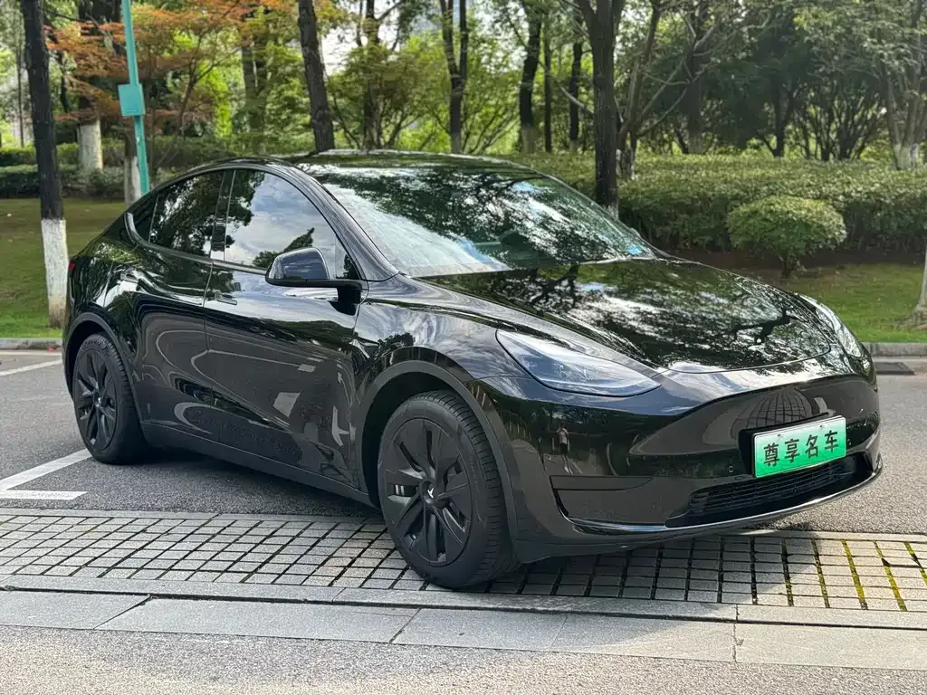 Tesla Model Y 2022 из CN, фото 9