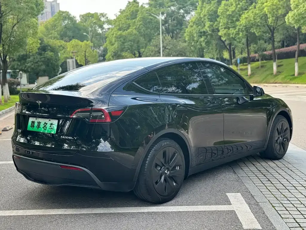 Tesla Model Y 2022 из CN, фото 3