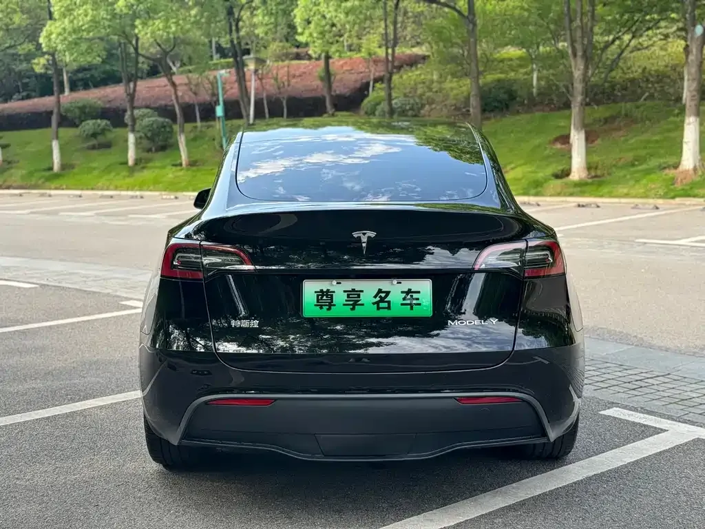 Tesla Model Y 2022 из CN, фото 4