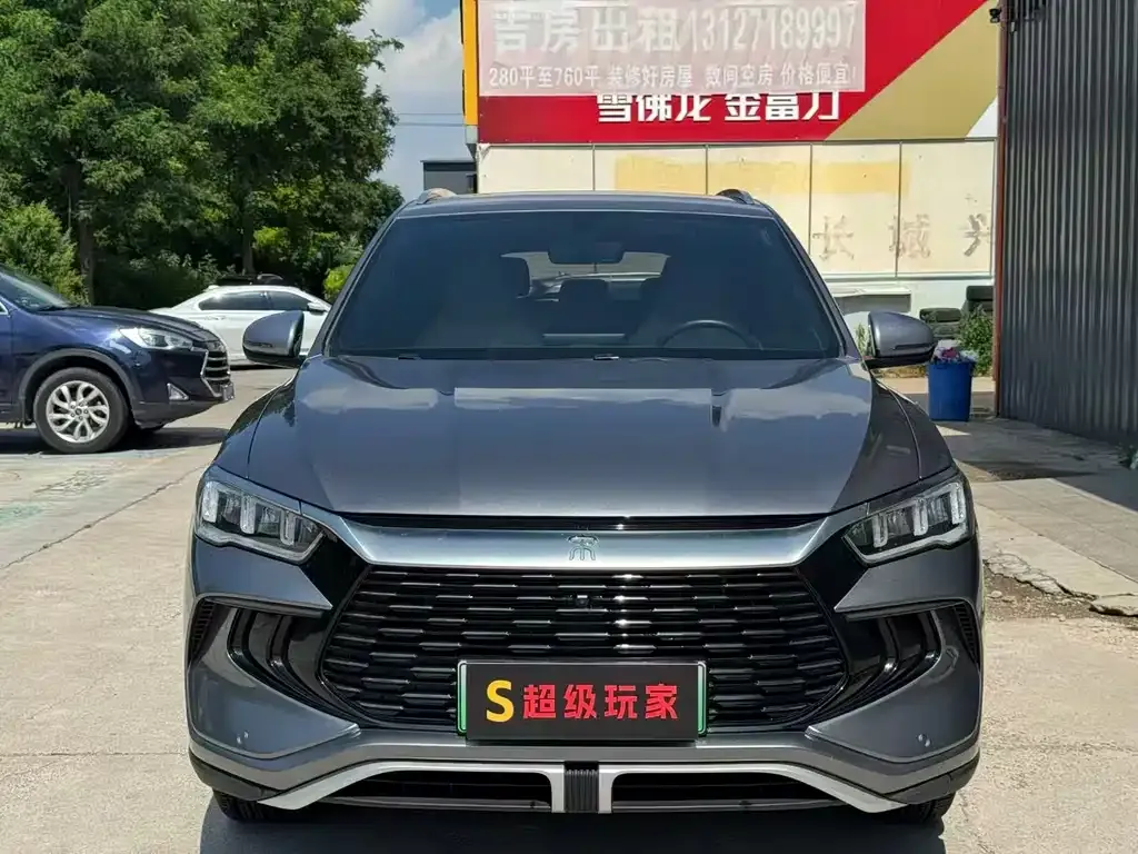 BYD Pro New Energy 2024 из CN, фото 1