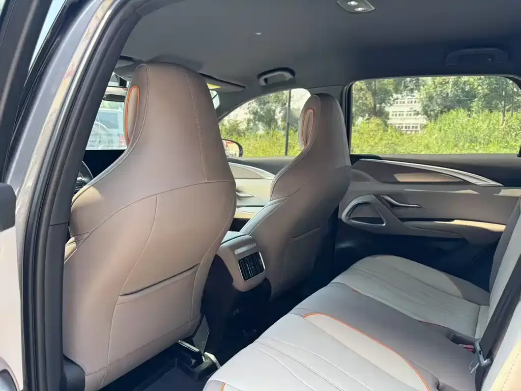 BYD Pro New Energy 2024 из CN, фото 3