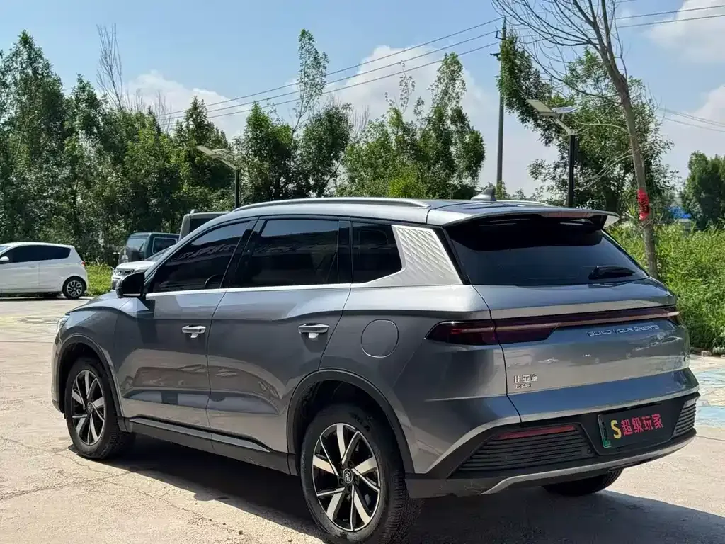 BYD Pro New Energy 2024 из CN, фото 9