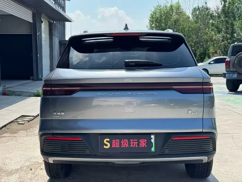 BYD Pro New Energy 2024 из CN, фото 5