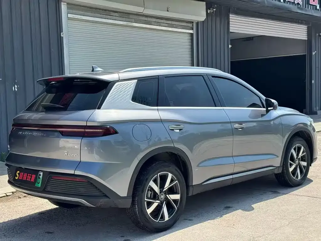 BYD Pro New Energy 2024 из CN, фото 6