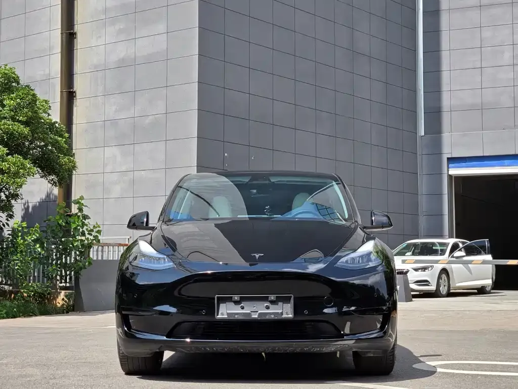 Tesla Model Y — фото 6
