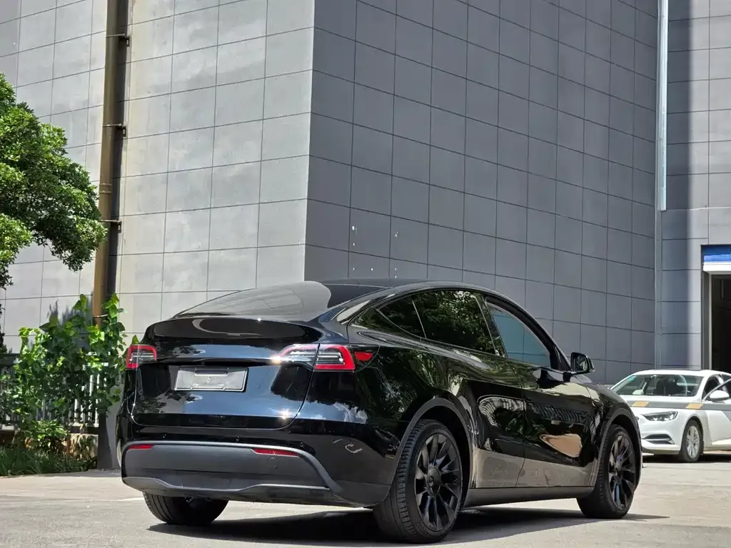 Tesla Model Y — фото 7