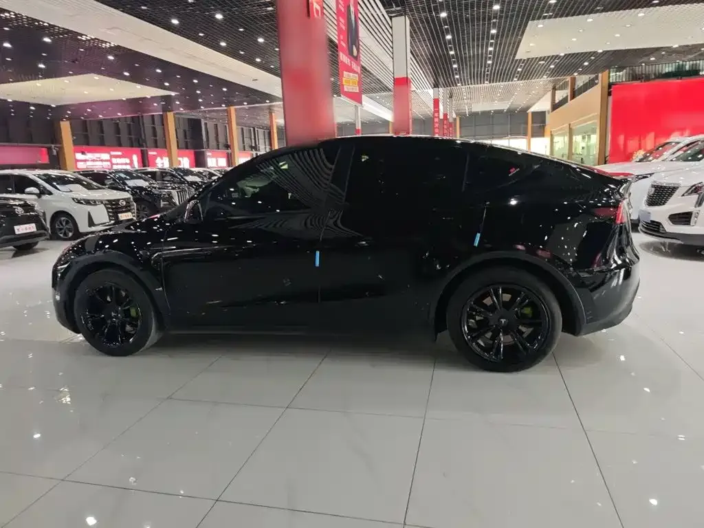 Tesla Model Y — фото 8