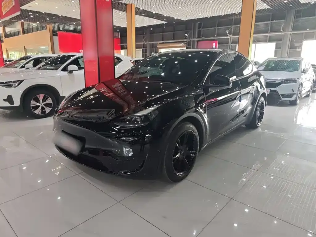 Tesla Model Y — фото 3