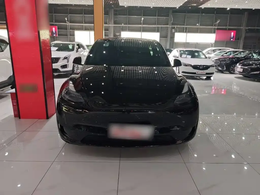 Tesla Model Y — фото 10
