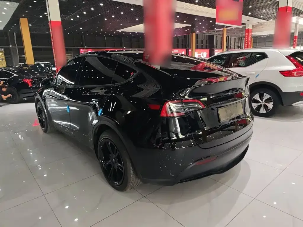 Tesla Model Y — фото 9