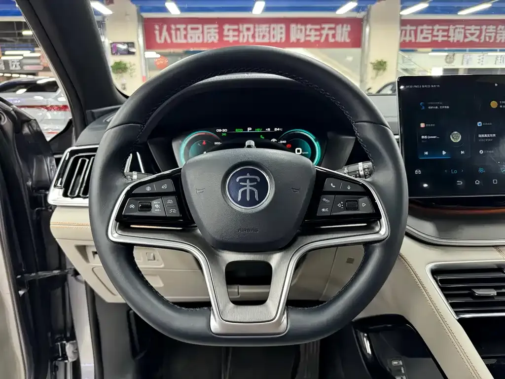 BYD PLUS New Energy — фото 2