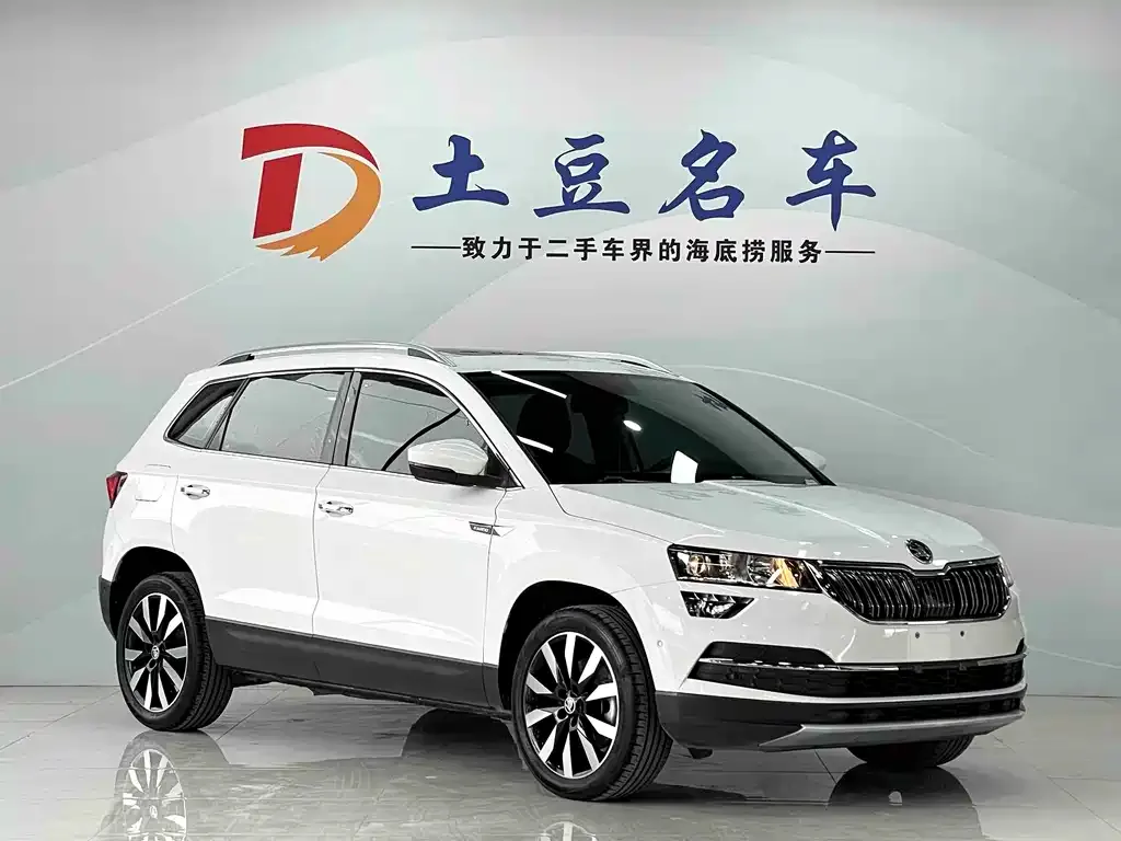 Skoda Karoq 2021 из CN, фото 8