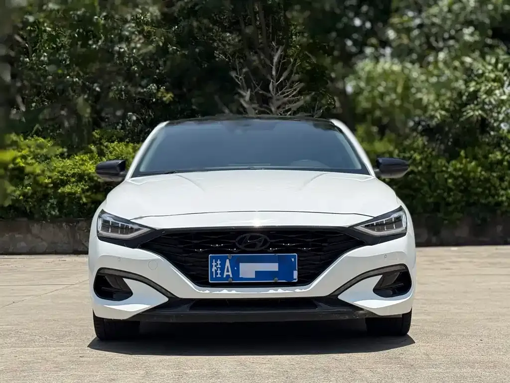 Hyundai Fista 2021 из CN, фото 6