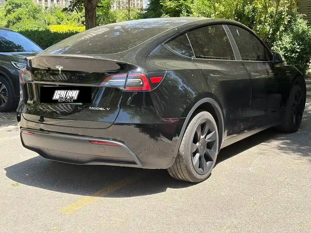 Tesla Model Y — фото 2