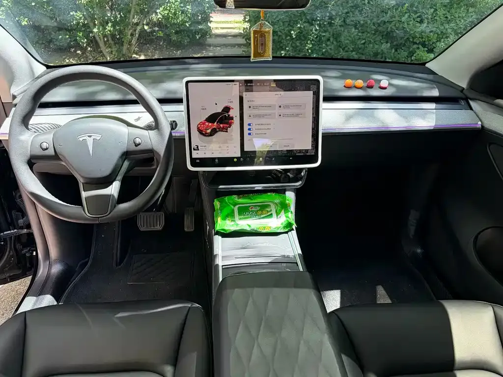Tesla Model Y — фото 5