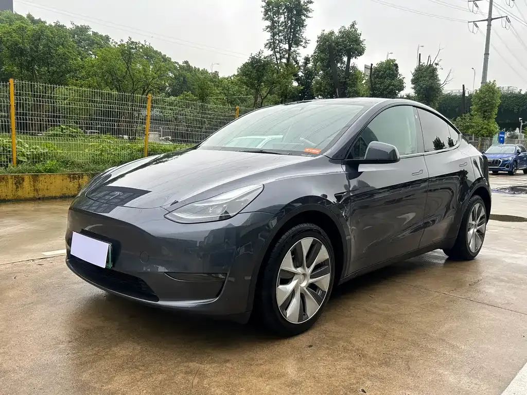 Tesla Model Y — фото 1