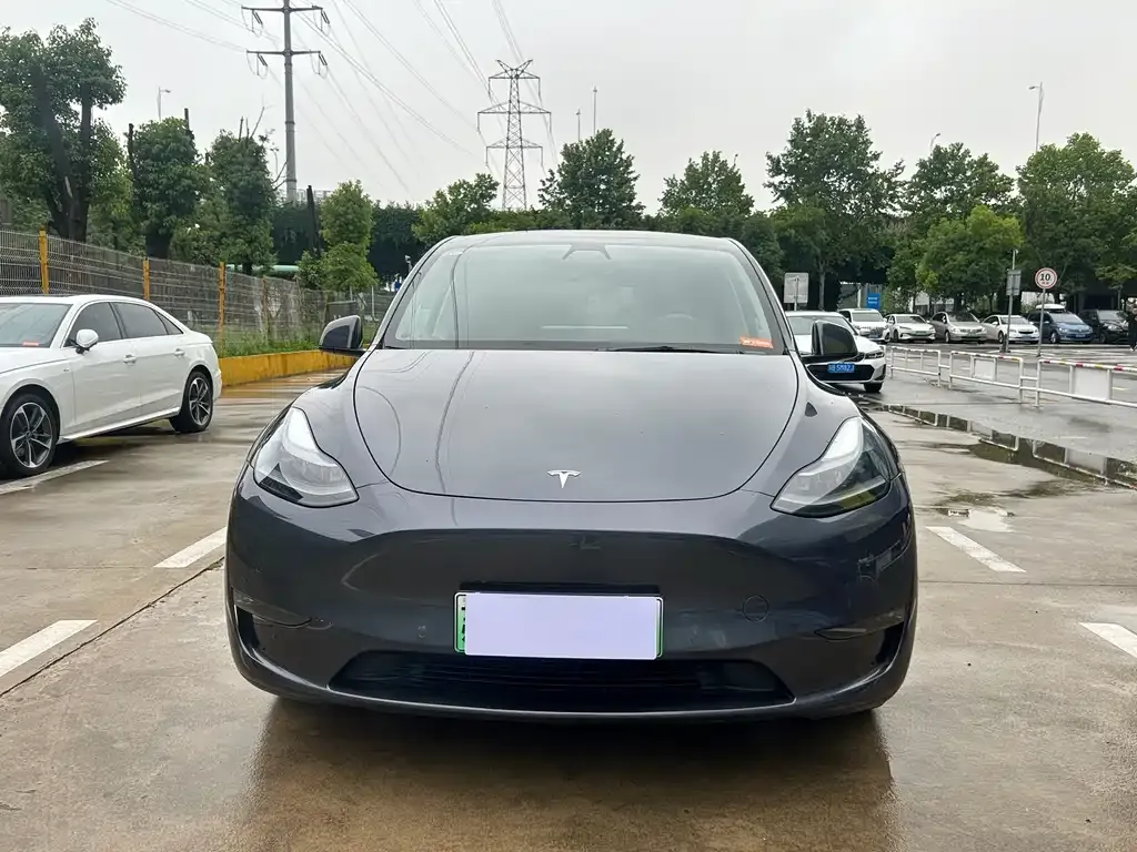Tesla Model Y — фото 9