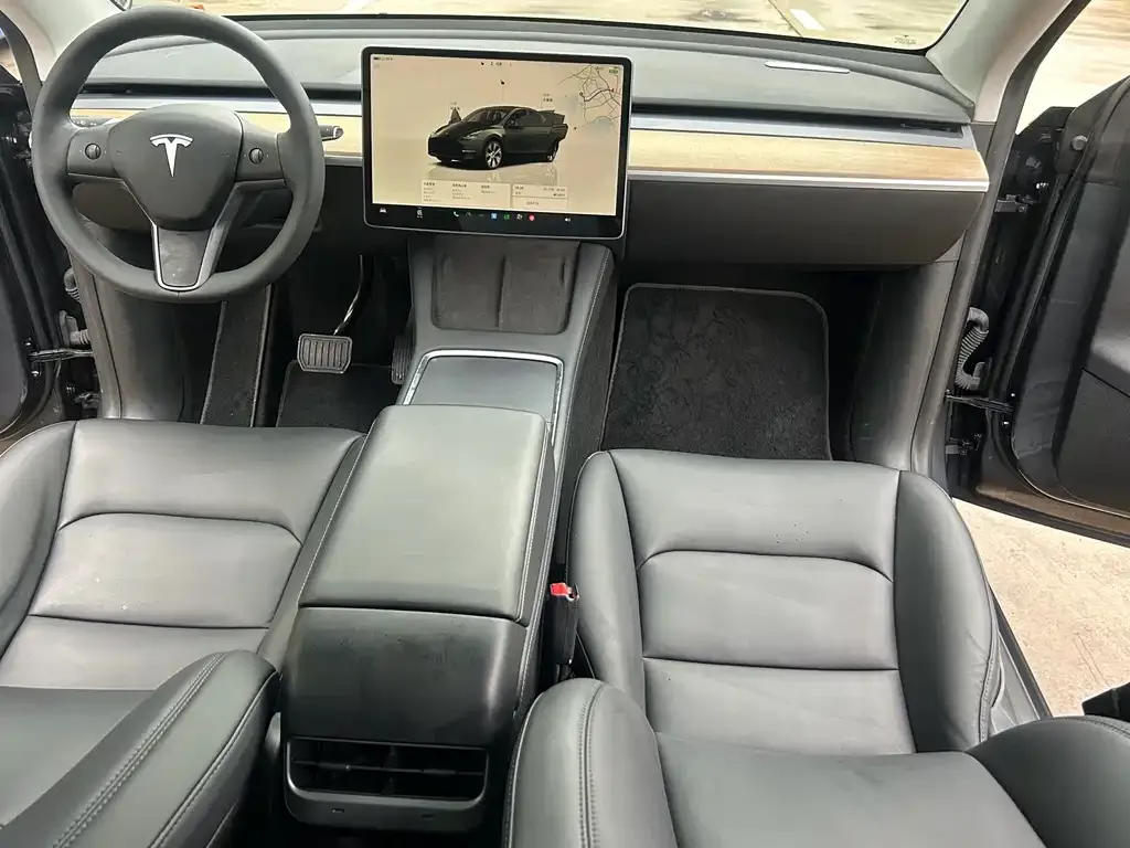 Tesla Model Y — фото 2
