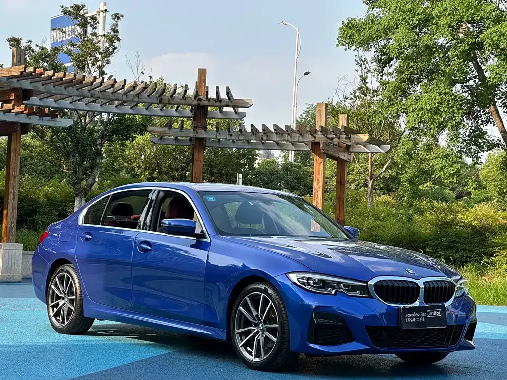 BMW 3 Series 2021 из CN, фото 9