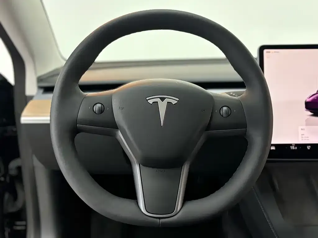 Tesla Model 3 — фото 3
