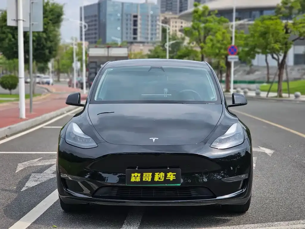 Tesla Model Y — фото 3