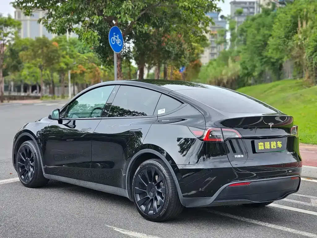 Tesla Model Y — фото 6