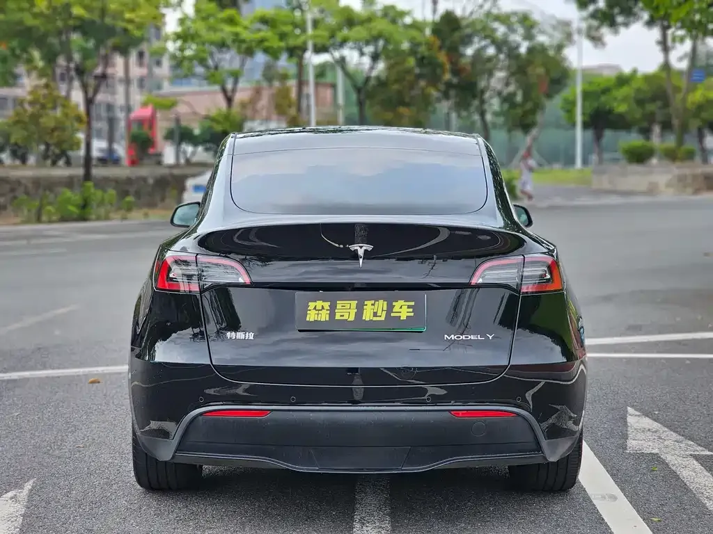 Tesla Model Y — фото 4