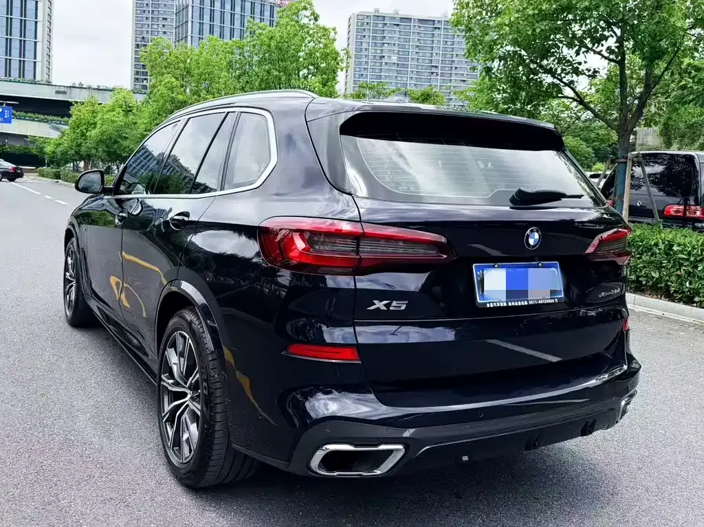 BMW X5 (Import) 2021 из CN, фото 9