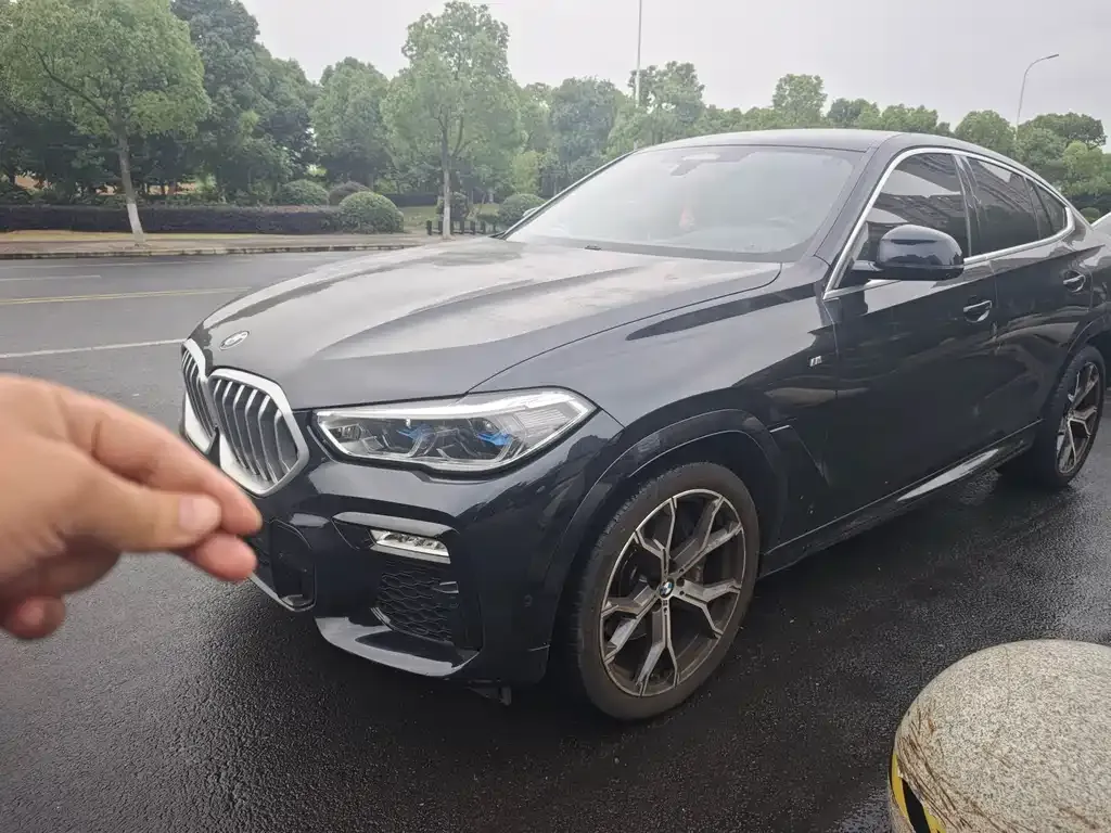 BMW X6
