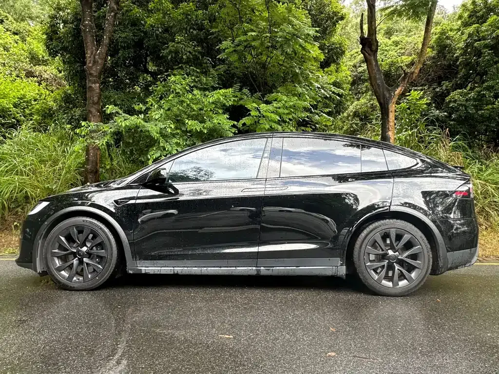 Tesla Model X 2023 из CN, фото 9