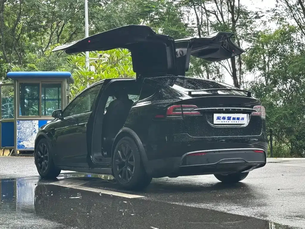 Tesla Model X 2023 из CN, фото 6