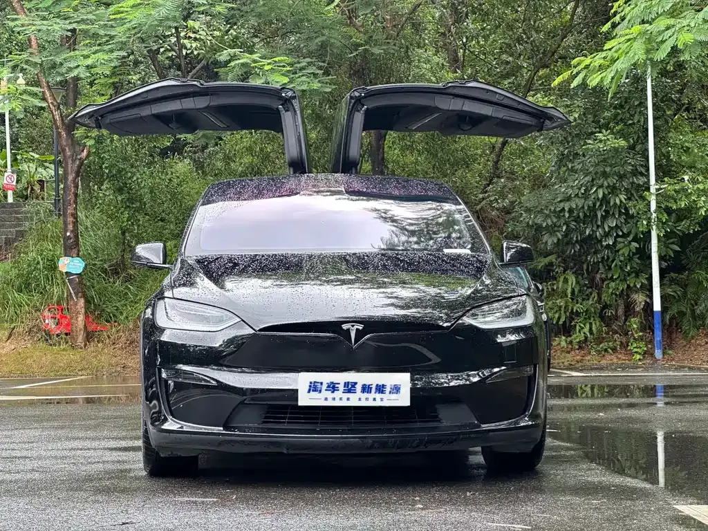 Tesla Model X 2023 из CN, фото 8