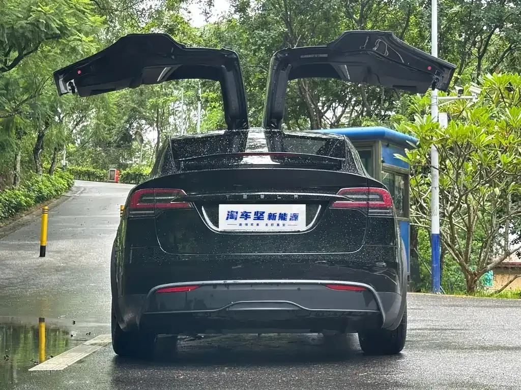 Tesla Model X 2023 из CN, фото 4