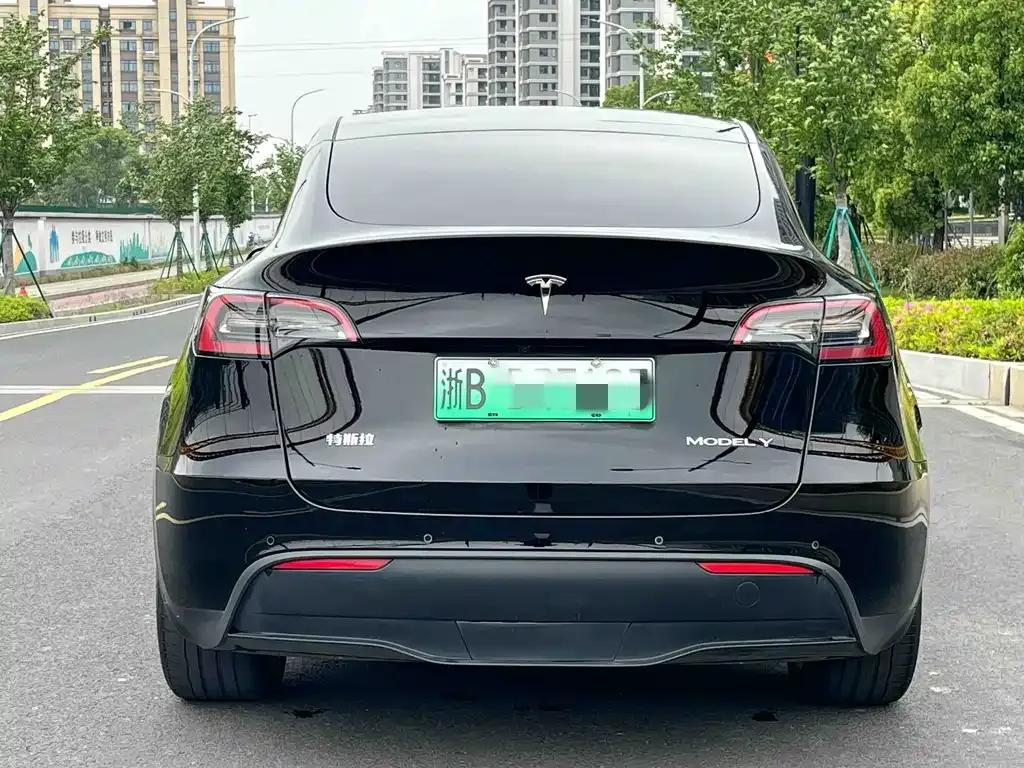 Tesla Model Y — фото 9