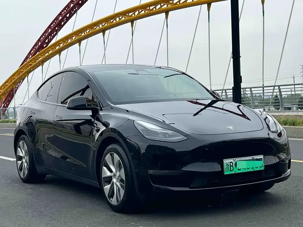 Tesla Model Y — фото 6