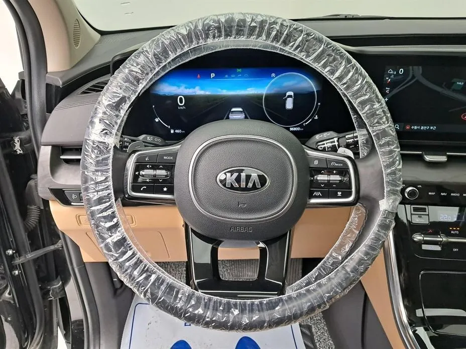 Kia Carnival — фото 10