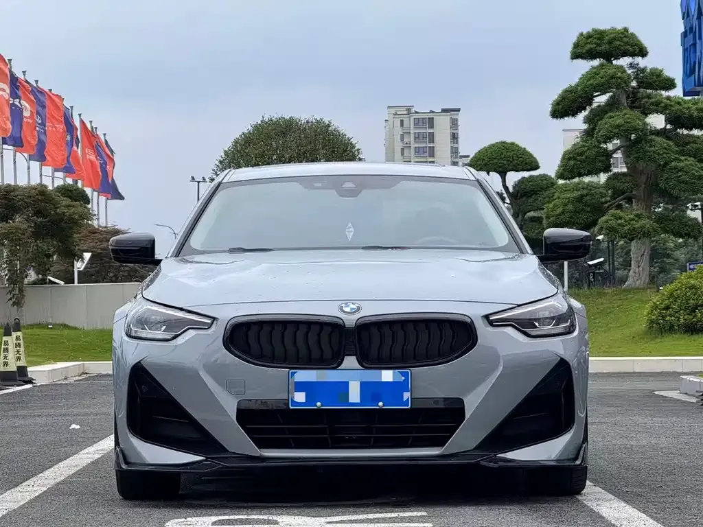 BMW 2 Series (Import) 2023 из CN, фото 5