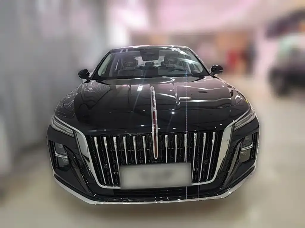 Hongqi H5 — фото 10