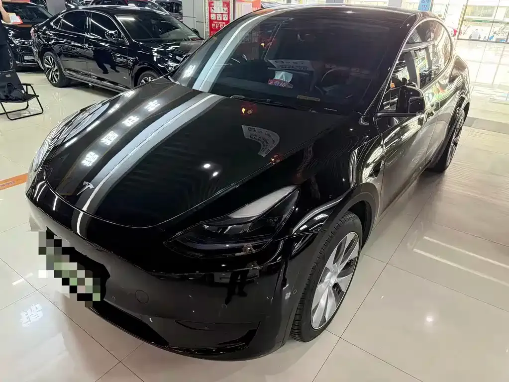 Tesla Model Y — фото 1