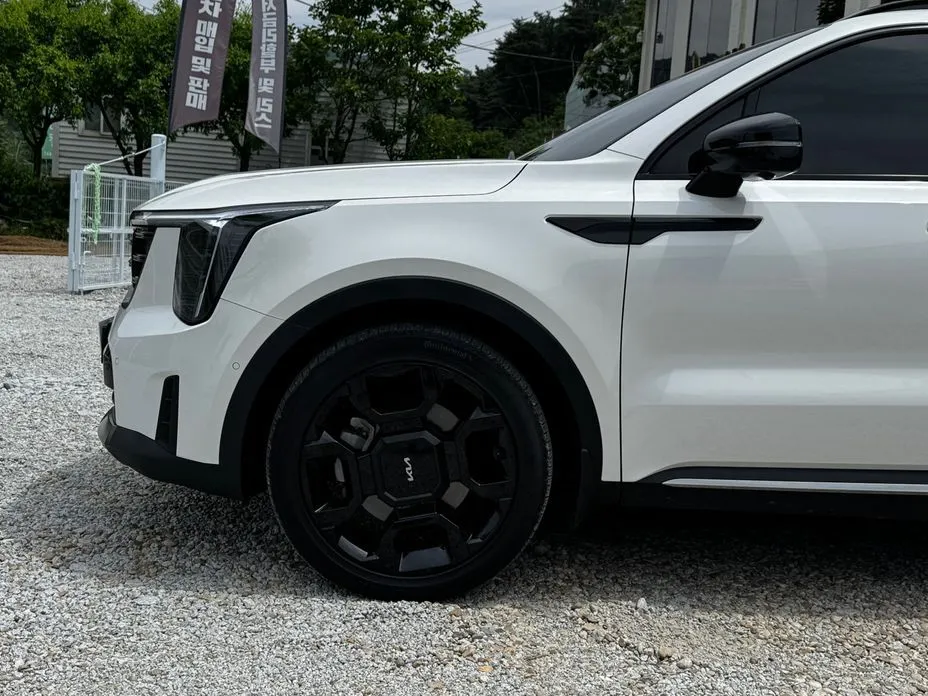 Kia Sorento 2024 из KR, фото 2